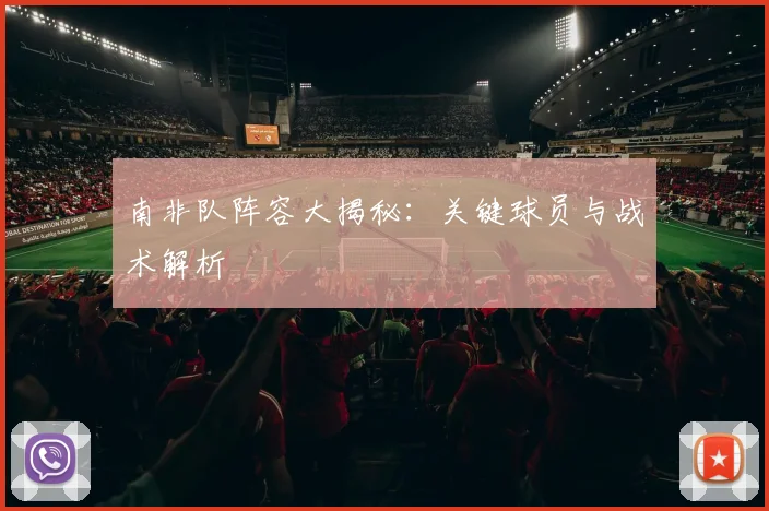 南非队阵容大揭秘:关键球员与战术解析
