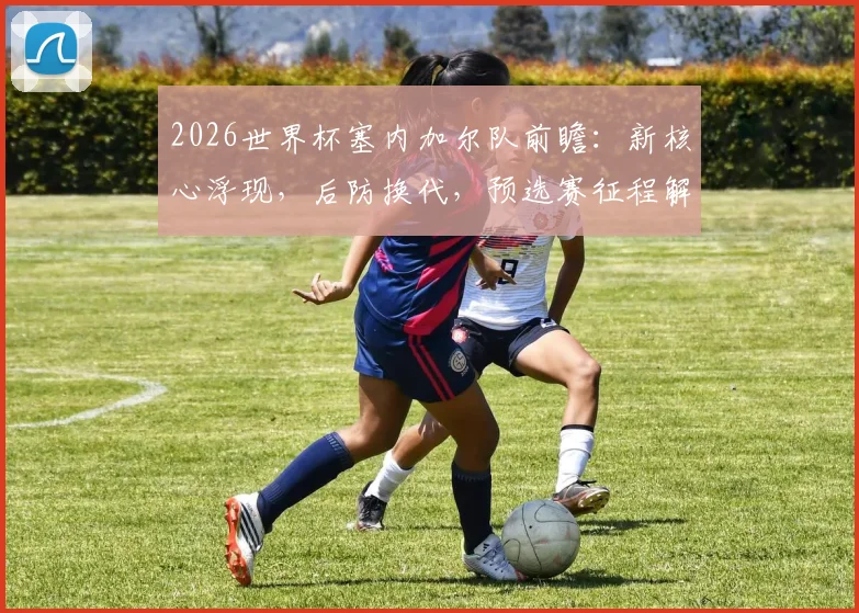 2026世界杯塞内加尔队前瞻：新核心浮现，后防换代，预选赛征程解析